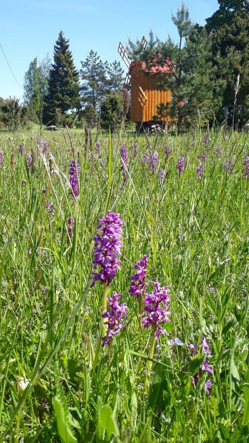 Sihi Country House Hiievalja Exteriör bild